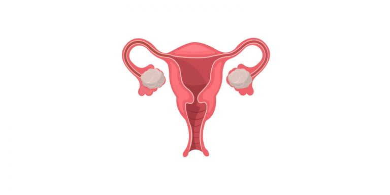 le cancer du col de l'utérus diagnostic prévention et traitement au laboratoire d'analyses médicales à Chlef en Algérie