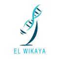 Logo du laboratoire d'analyses médicales à Chlef en Algérie, El Wikaya
